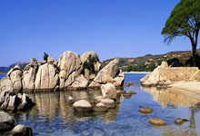 爱游戏体育：[天下足球]凯恩通关 拜仁险胜圣保利.